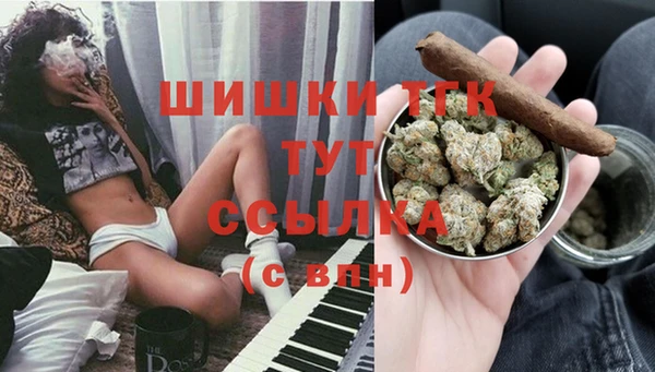 PSILOCYBIN Белоозёрский